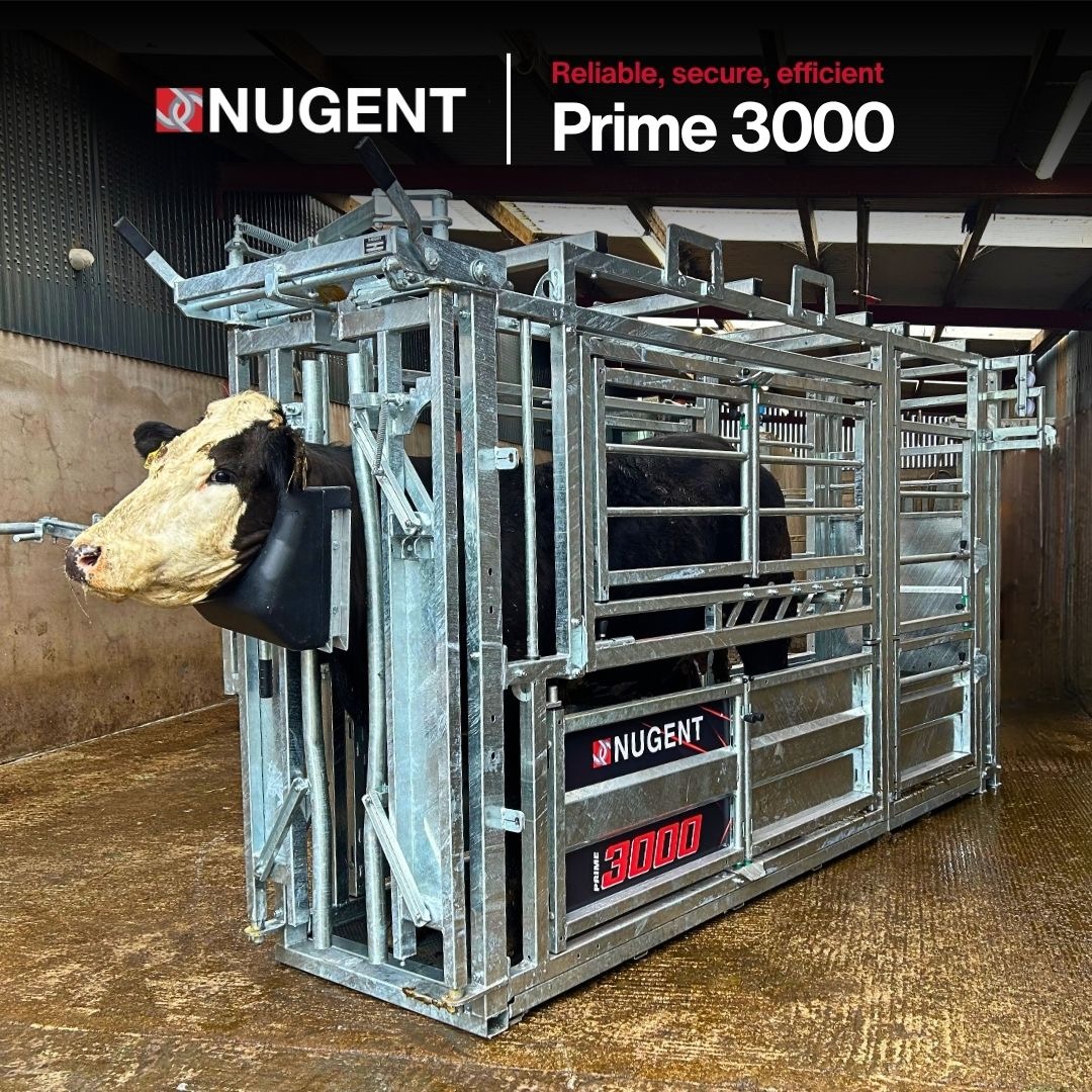 PRIME 3000 Cattle Crush (C/w 1no. Gate Option)